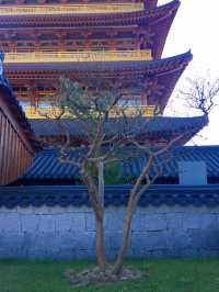 단풍구경은 여기서 하자 🍂경주 보문관광단지 