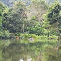 Attractive Resort in Ipoh 