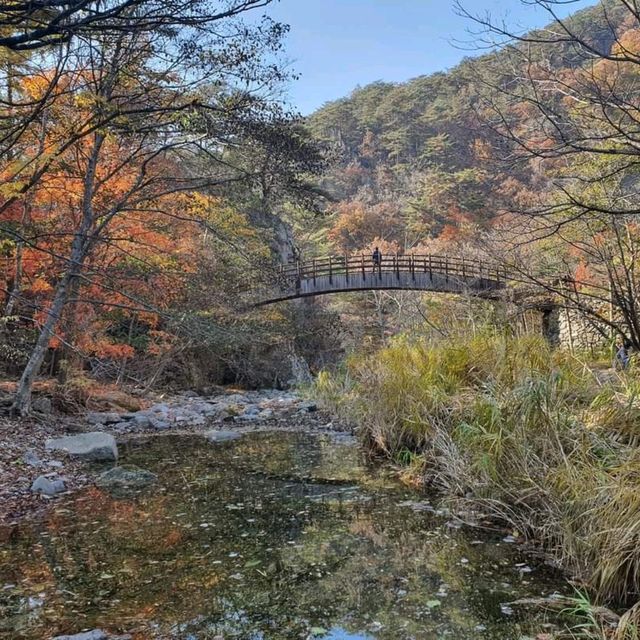 대한민국 5대단풍성지