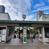 Shinobazu Pond in Ueno Park