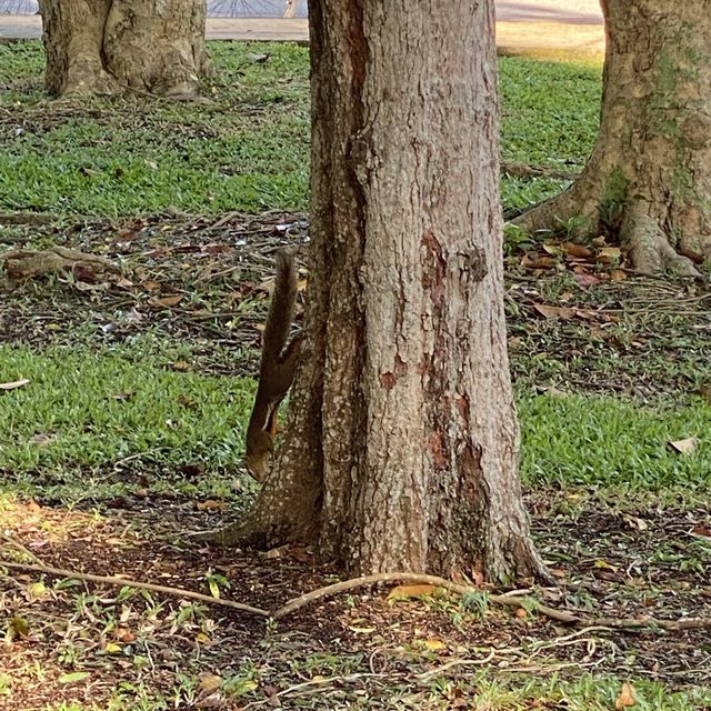 East Coast Park