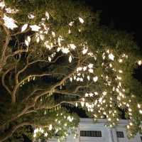 Tagbilaran City Hall - Christmas Vibes