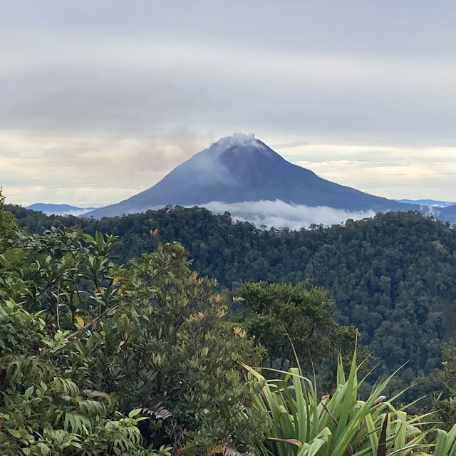 とても美しく寛げる山　