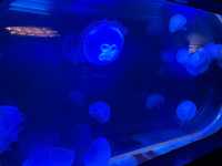 レトロな感じが逆に良い？！須磨水族館🐟