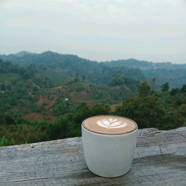 ไปจิบกาแฟแลภูเขาบ้านปางขอนที่ไร่กาแฟครอบครัวมะ