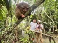 Tiny Tarsiers!