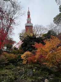 Autumn mode is on in Winter