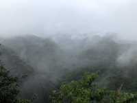 Wuyishan Scenic Area