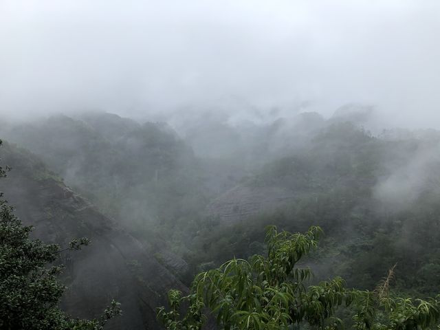 Wuyishan Scenic Area