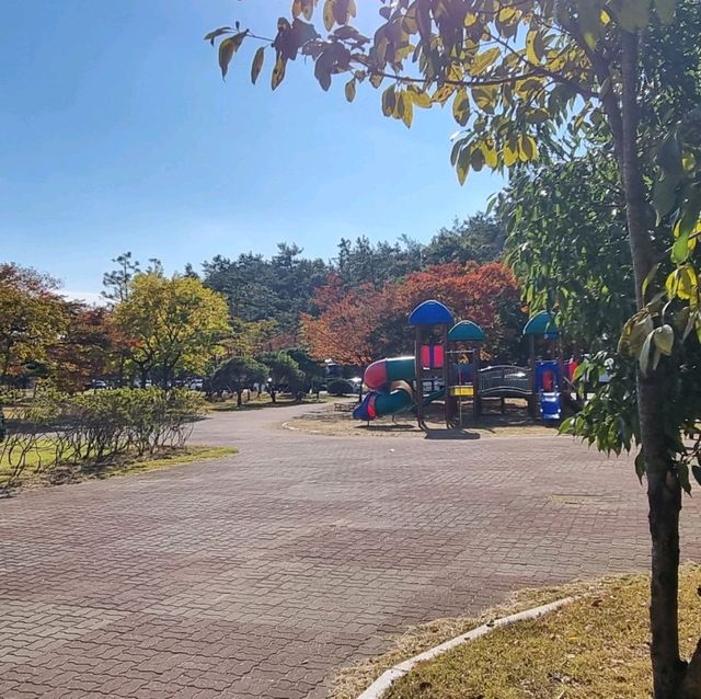 Dalmaji Park 