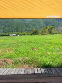 울릉도에 바다만 있어? 노노 ~ ⛰️