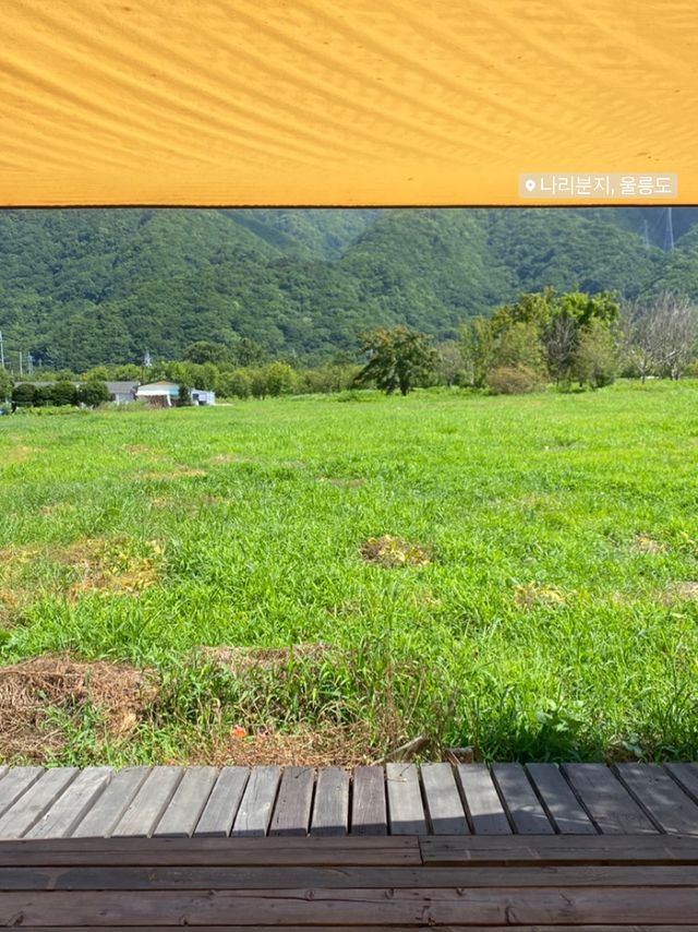울릉도에 바다만 있어? 노노 ~ ⛰️