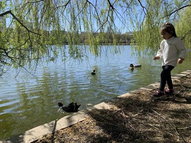 羅馬尼亞景點-泰坦公園 Parcul Titan