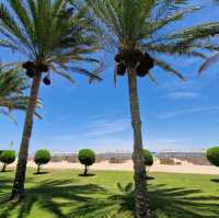 Magic World Sharm Hotel 