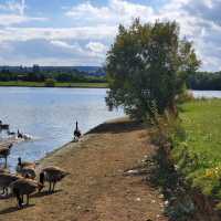 Pugneys Country Park 