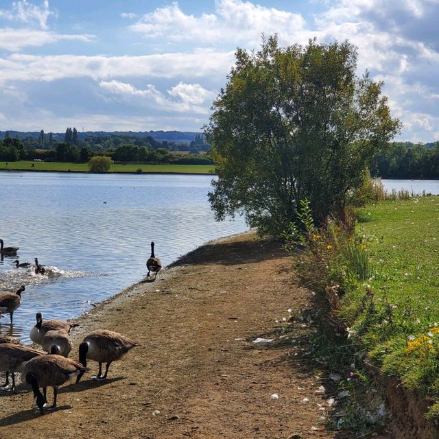 Pugneys Country Park 
