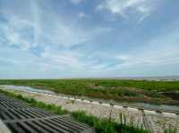 Lingang quest: Nanhuixincheng beach