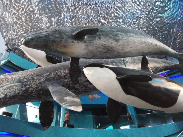 Oceanarium in Vladivostok