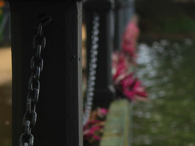 A Gem in Sri Lanka - Lake Kandyan 