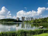 Oh so green! Yueshan Lake, Jinyang, Guiyang 