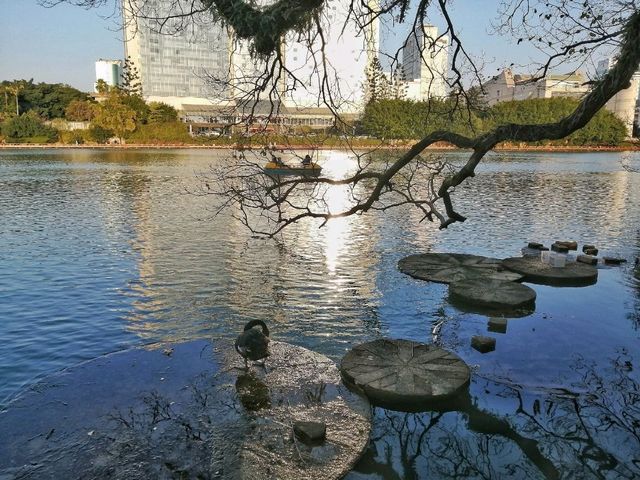 Relaxing at the West Lake Park in Fuzhou! 