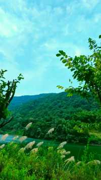 Hidden in the suburbs of Hangzhou, there is a "Little Tianzhu" that not only attracts many celebrities to check in, but also seems like a fairyland.