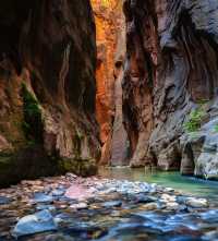 Go to Zion National Park for hiking and exploration.