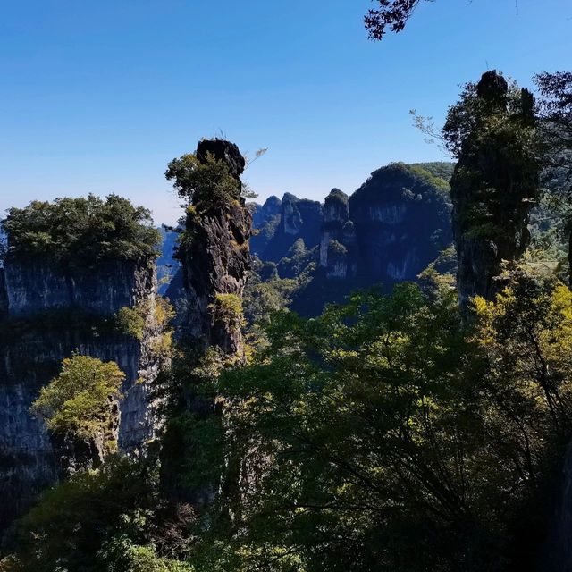Hubei Yichang Wufeng Tujia Autonomous County Chaibuxi | Chabuxi, a picturesque canyon with three thousand peculiar peaks