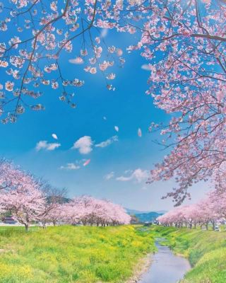 Beautiful like a scene from an anime, travel with excitement.