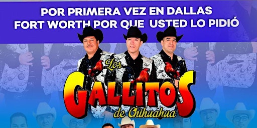 GALLITOS DE CHIHUAHUA | Barra Brava Sports Bar