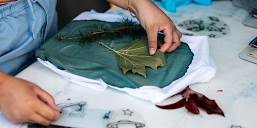 Wetlands Cyanotypes with PhotoAccess | Goulburn Wetlands
