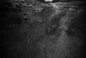 October Meet-up by Women in Photography NZ + AU and The Handmade Darkroom | Twentysix Gallery