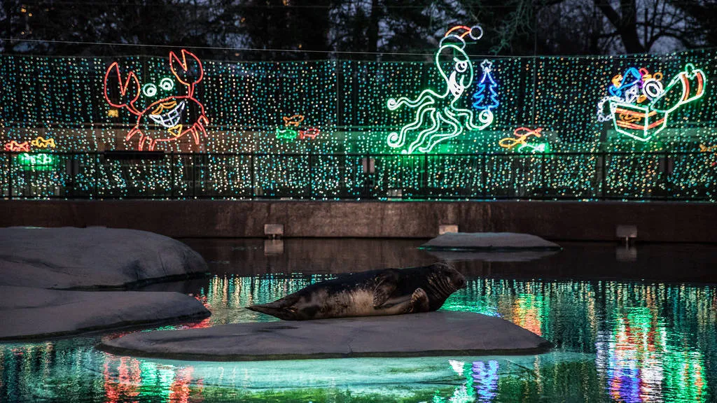 ZooLights | Lincoln Park Zoo