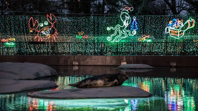 ZooLights | Lincoln Park Zoo