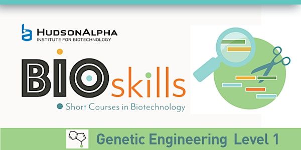 BioSkills: Genetic Engineering- Level 1- 2025 | Paul Propst Center, HudsonAlpha Insitute for Biotechnology