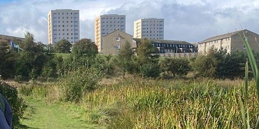 A Play For Torry: Community Table Read | The White Cockade