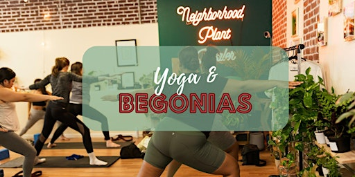 Yoga and Begonias | Neighborhood Plant Dealer