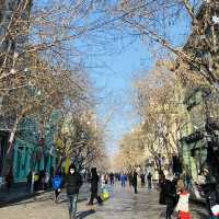 HARBIN’s CENTRAL AVENUE