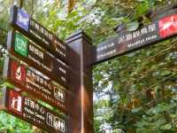 超有教育意義的濕地公園