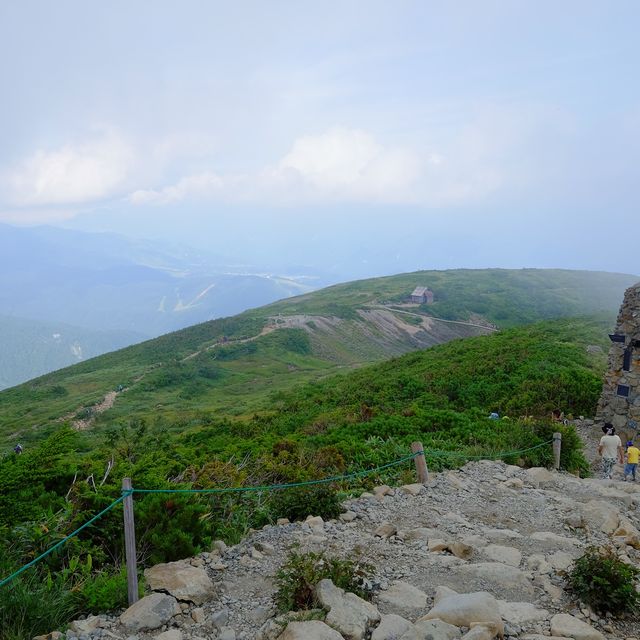 夏の八方尾根