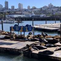 Fisherman Wharf in San Francisco 