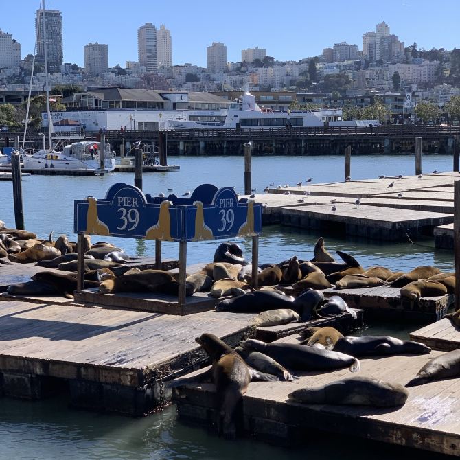 Fisherman Wharf in San Francisco 