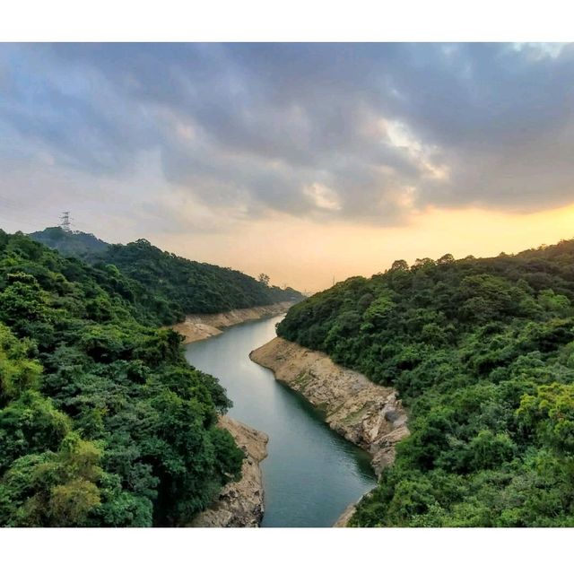 登上馬騮山。九龍水塘 Kowloon Reservoir 