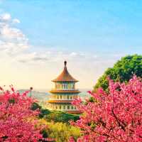 😍美不勝收的淡水天元宮🌸