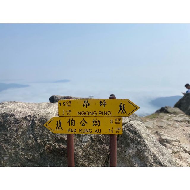 征服香港第二高山峰⛰️-鳳凰山