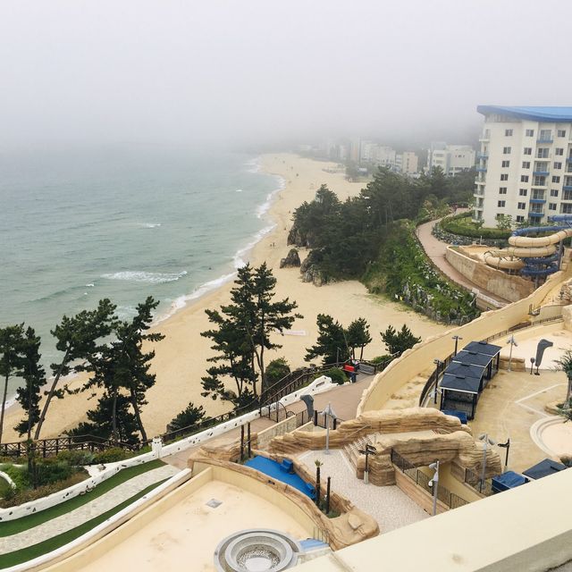 오션뷰가 완벽했던 삼척 쏠비치! #대명리조트 #쏠비치
