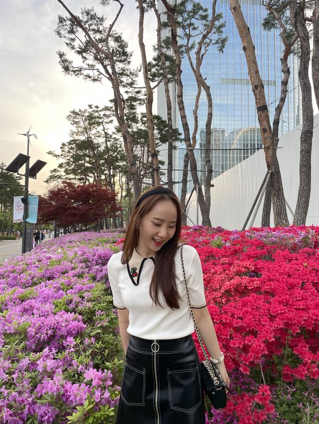 벚꽃 졌다고 안 가기 너무 아쉬운 석촌호수