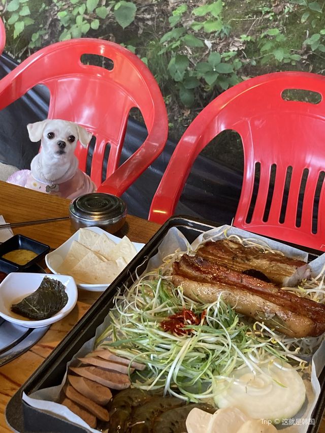 애견동반 항아리바베큐 맛집 “산골 항아리바베큐”