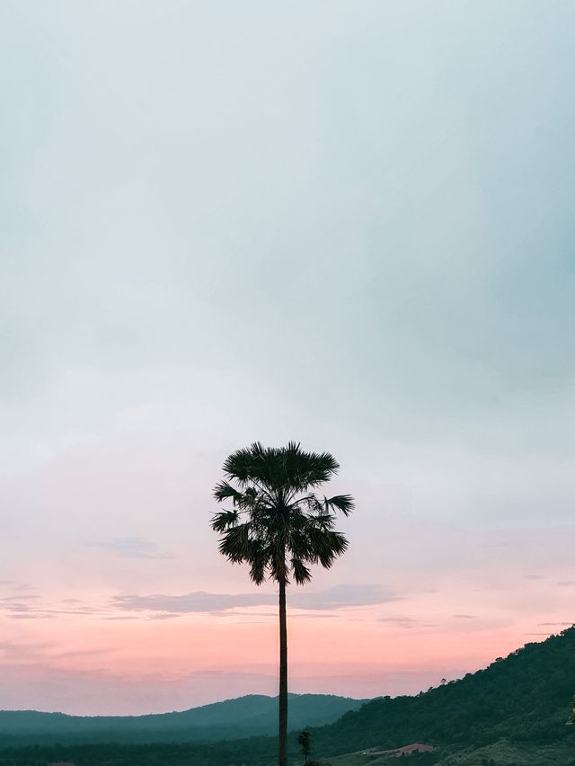 เขาค้อหน้าฝน 🌿🌱🍃⛈