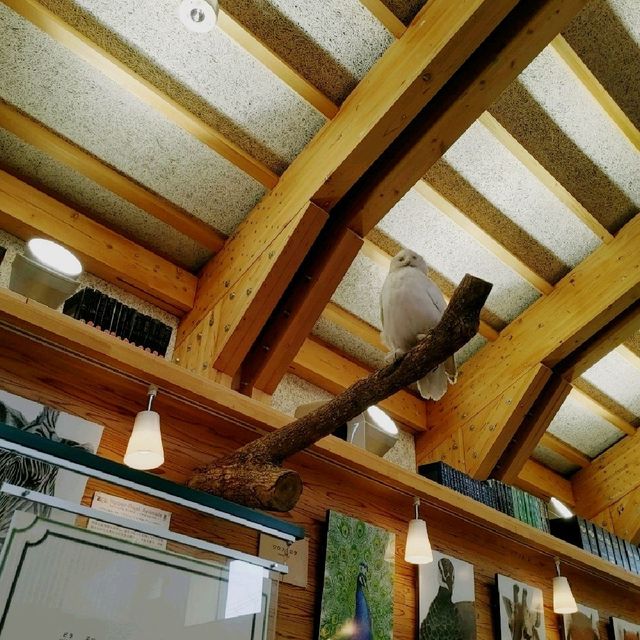 SLOW JET COFFEE IN THE ZOO

テラス席にも動物が！
